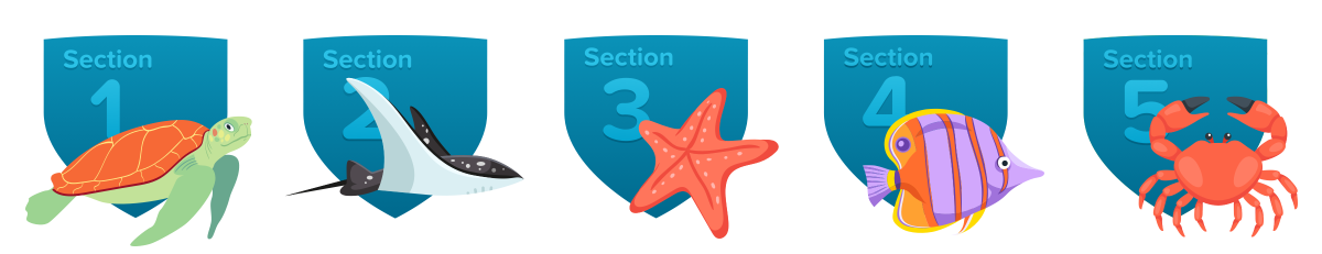 Badges earned for sections completed